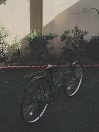 باسكل حشداوي • موديل 22 • جديد