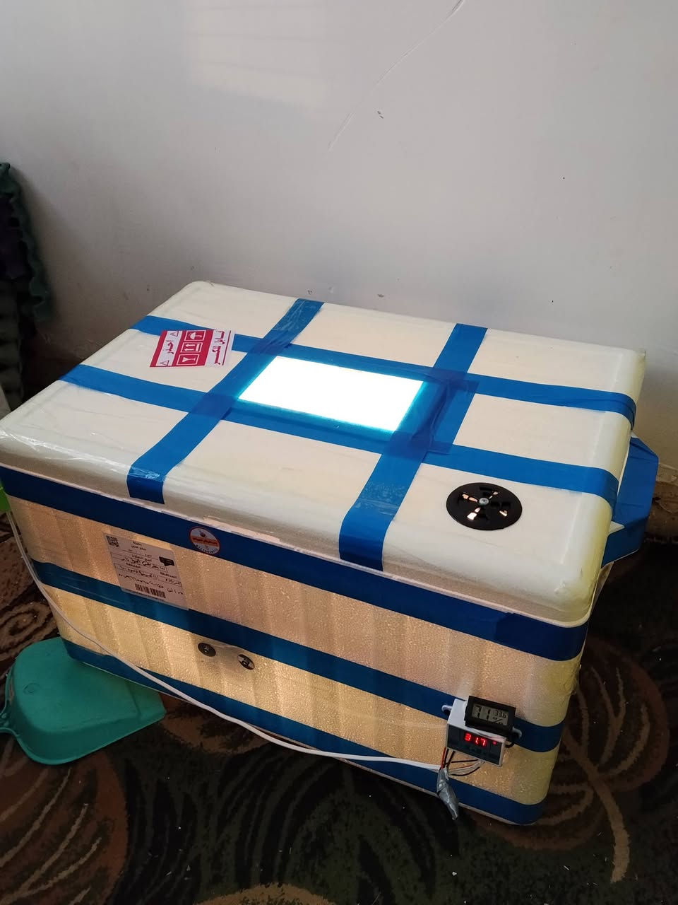 سلام عليكم للبيع فقاسه شرط التفقيس 120بيضه متفقس ترجع السعر 75الف مكاني كربلاء الحسينيه عامود 100
‏‪0777 966 5565‬‏
