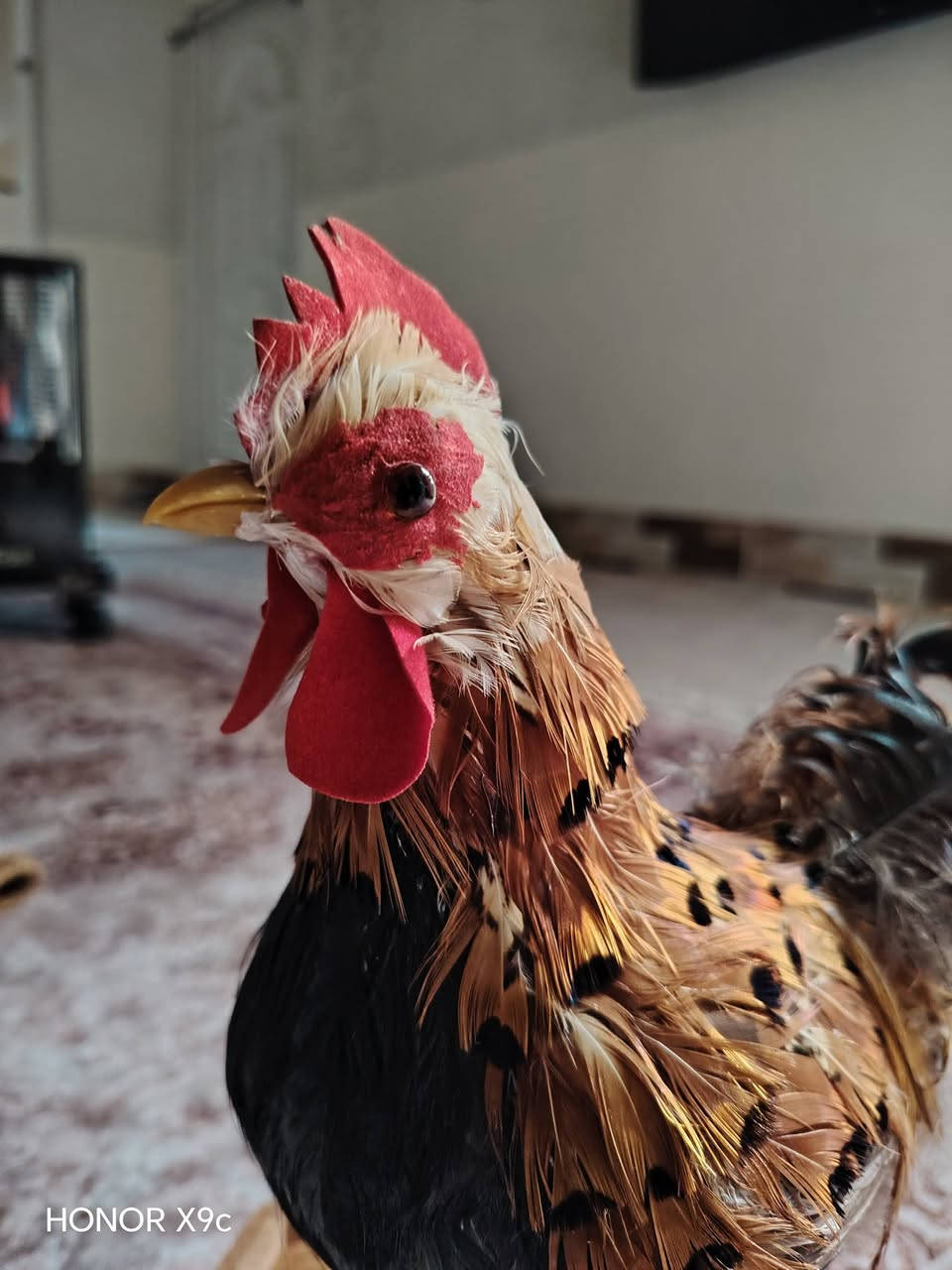 ٢٥ الف مع توصيل


**إذا كنت صاحب هذا الإعلان وتريد حذفه لأي سبب، رجاءا أرسل رسالة إلى الدعم الفني**