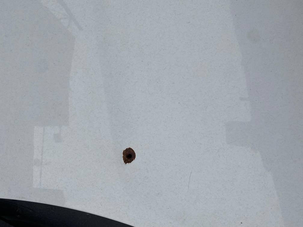 سياره نيسان سني موديل 2021 رقم اربيل 
سنوية مامنتهيه بعد 9اشهر تنتهي بيها ضربه امكان السبير راجعه بارد كل صبغ ماكو السعر115 رقم الهاتف *********** مكان السياره البصره البصرة, العراق
