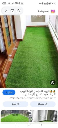 ثيل • ٢م×١م • أصلي