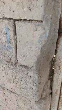 دوانم • مشتمل • قرفة ٤×٤ ونص