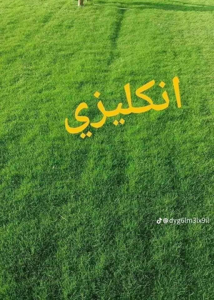يوجد ثيل طبيعي يوجد توصيل مجاني رقمي *********** وتساب
