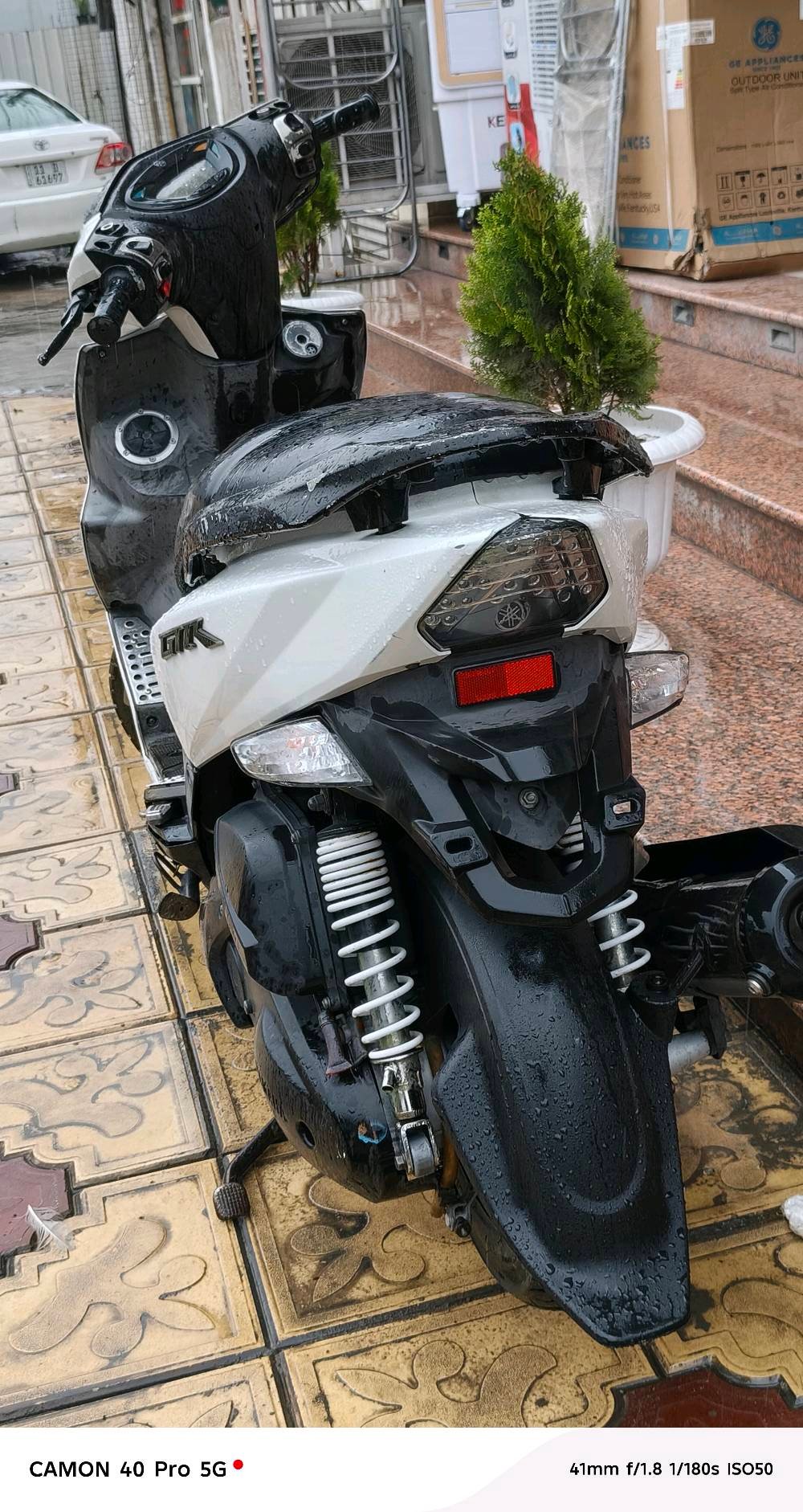 بغداد المشتل 