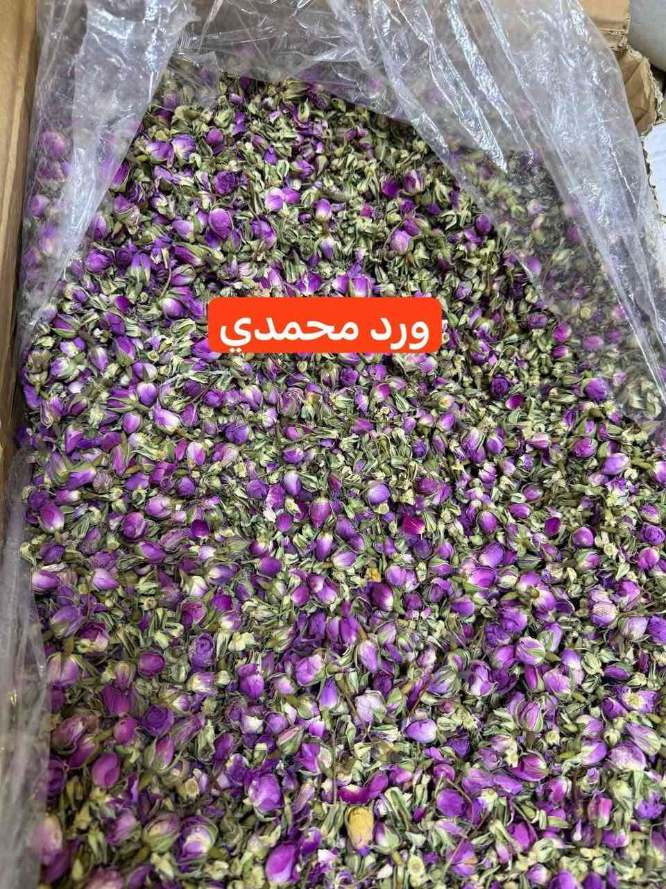 سعد هندي
ورد محمدي


**إذا كنت صاحب هذا الإعلان وتريد حذفه لأي سبب، رجاءا أرسل رسالة إلى الدعم الفني**