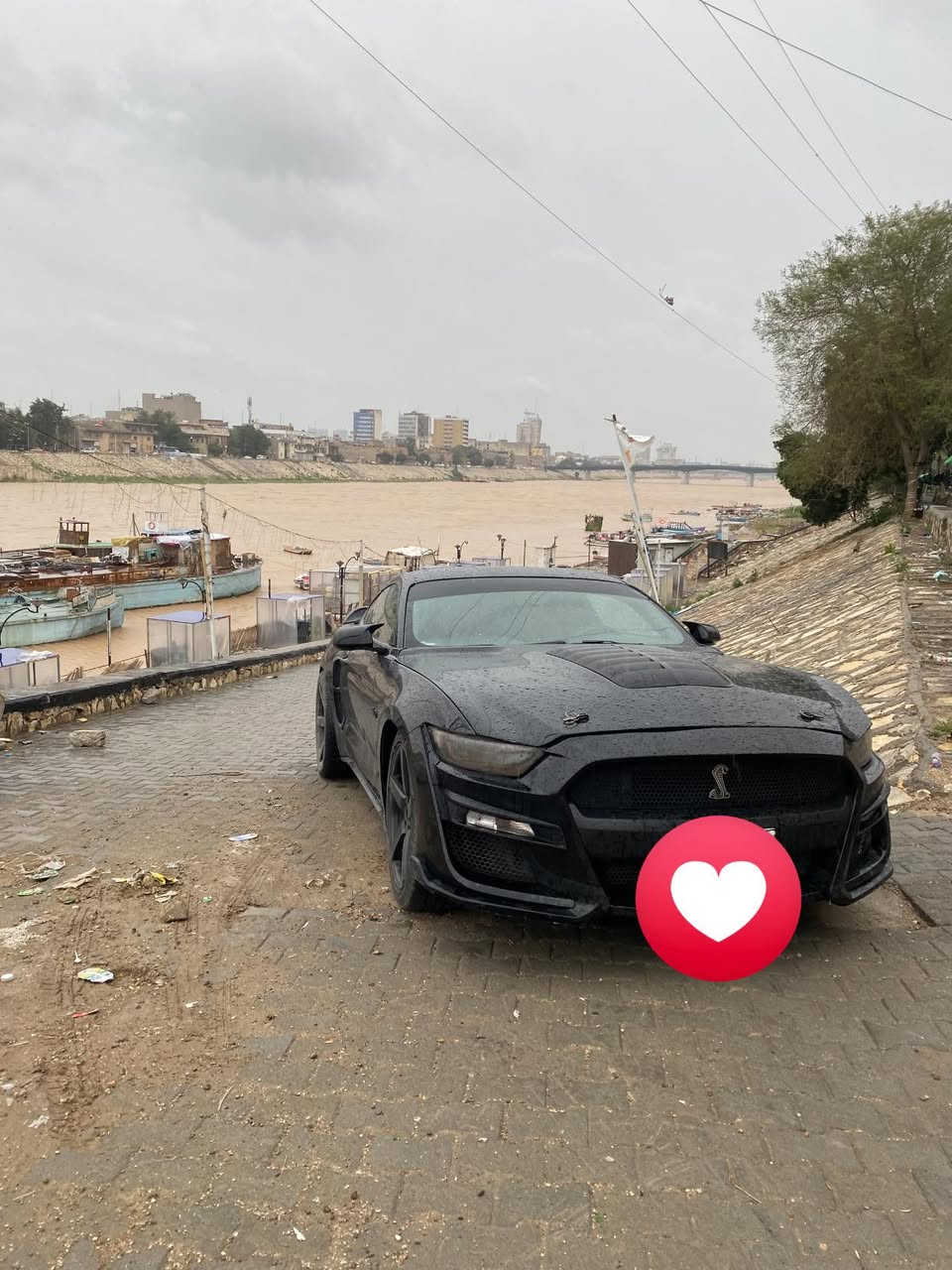 السلام عليكم للبيع موستنك موديل 16 3700 V6 صبغ حزام  بنيد مبدل شيلبي ودعاميه شيلبي  سبويلر ودفيوزر GT  عليها دبات روش فصله وطلقات رقم أربيل باسم شركه تحويل او وكاله مضمون السعر 133 وبيها مجال بيها نواقص بسيطه جدا  مكان السياره بغداد الصالحية 
***********
