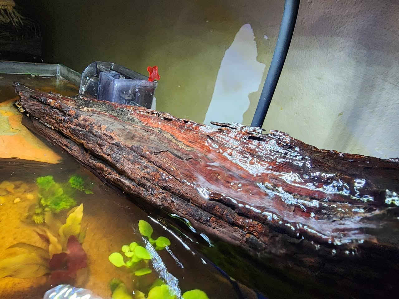 حوض شالو قياس 40×23×15 🌿🤍
مع نهر جاري🌊 وتصميم طبيعي 
يحتوي على :
فلتر شلال 
انارة LED
حجر بركاني
جذع خشب متحجر 
ثلاث انواع نباتات سهل العنايه 
رمل لون صحراوي 
نهر جاري 
بسعر ٧٠ الف دينار ✅️
يتوفر تصميم حسب الطلب 
يوجد توصيل لجميع  المحافظات🚛


**إذا كنت صاحب هذا الإعلان وتريد حذفه لأي سبب، رجاءا أرسل رسالة إلى الدعم الفني**