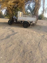 ستوت ديوان • موديل 20 • اوراق