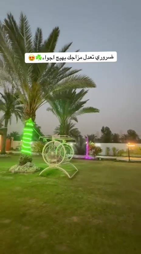 مزرعة تعلوله تستقبل العوائل/شباب
مع بداية ايام العيد🌈
تتوفر حجوزات يوم الاربعاء صباحي/خميس صباحي

***********/ واتساب
