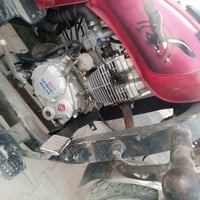 ستوتة • 2018 • حي الميلاد