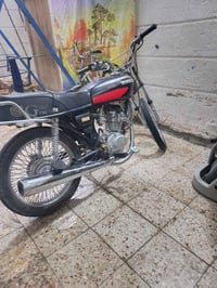 تايكر • بدون أوراق • بليتة 475