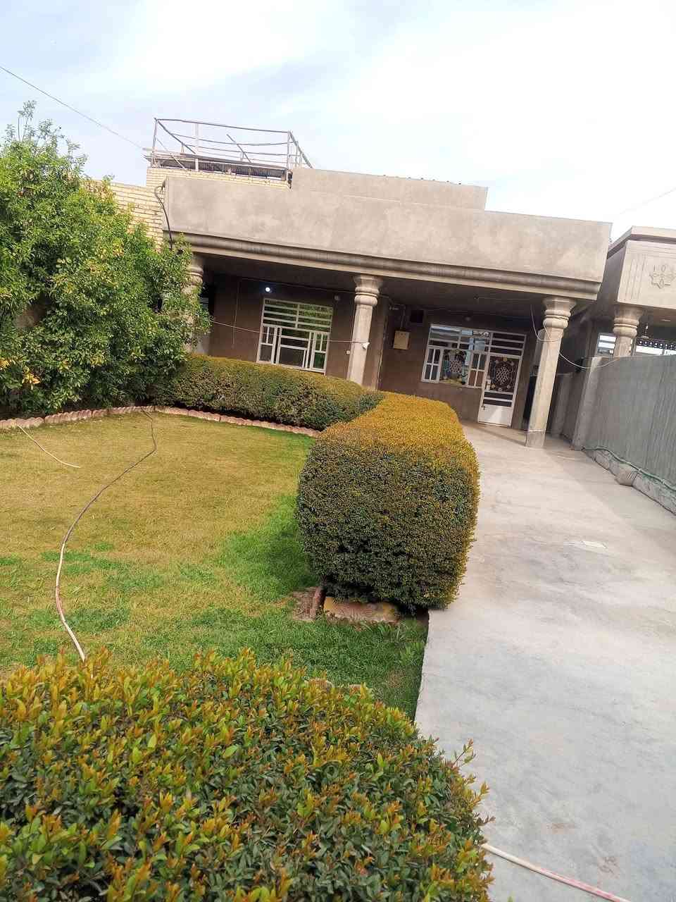 السلام عليكم 
دار للايجار. 500م. هو رجب مجاور السوق 
ايجاره 500. الف.  
للاستفسار ***********
