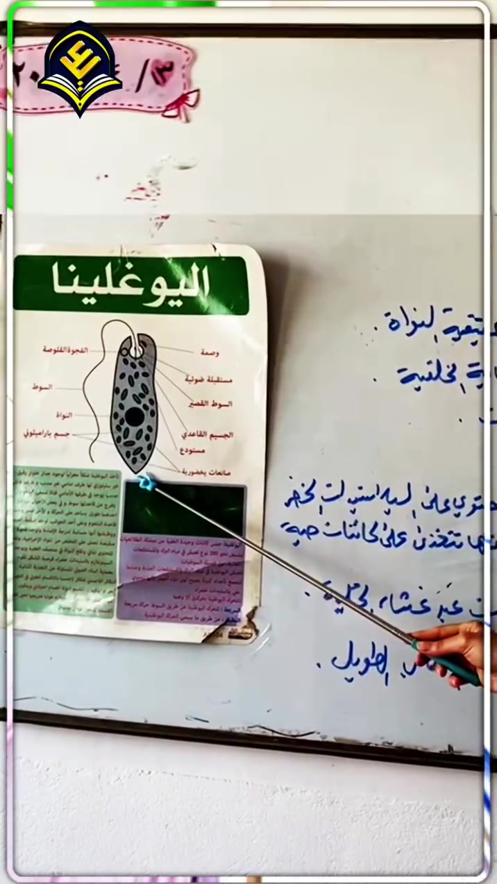 تعلن مدارس الإمام علي بن أبي طالب (ع) الأهلية عن بدء استقبال الطلبة للعام الدراسي الجديد. نحن هنا لنمنح أبناءكم أكثر من مجرد مقعد دراسي؛ نحن نبني الشخصية، ننمي الموهبة، ونغرس القيم. 📖
💡 ما الذي يميز رحلة الطالب معنا؟
✅ تعليم يتنفس إبداعاً: مناهجنا تُقدم بطرق تفاعلية حديثة تجعل التعلم متعة.
✅ أمانة تربوية: بيئة مدرسية تحافظ على الأخلاق وترعى السلوك قبل الدرجات.
✅ كوادرنا فخرنا: نخبة من التربويين الذين يجمعون بين الخبرة وروح العطاء.
✅ شراكة حقيقية: أنتم شركاؤنا، ومتابعتنا لأبنائكم مستمرة لحظة بلحظة.
نحن لا نُدرس المستقبل.. نحن نصنعه بأيدي أبطالنا الصغار. ✨
📍 العنوان: الديوانية - حي الجزائر - شارع البستان.
📞 للحجز والاستفسار: ***********
مدارس الإمام علي بن أبي طالب (ع) الأهلية.. حيث تلتقي التربية بالتميز.
#الديوانية #أهل_الديوانية #حي_الجزائر #الديوانية_اليوم #Explore #foryou #viral #fyp #مدارس_أهلية #العراق #تعليم_اطفال #نشاطات_مدرسية #تربية_وتعليم
