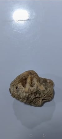 خامة • ملاقط • اسم الجلالة