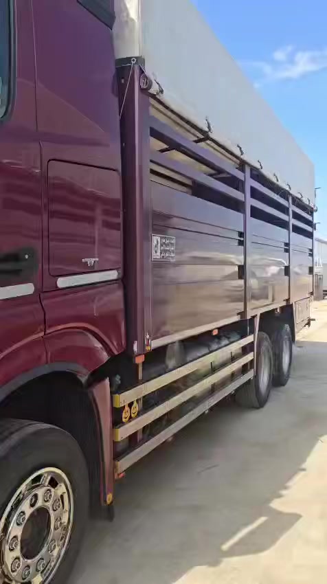 ‭٠٧٨١ ٥٥٦ ٣٣٨٠‬
