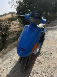 فراشة • فحل • القاسم