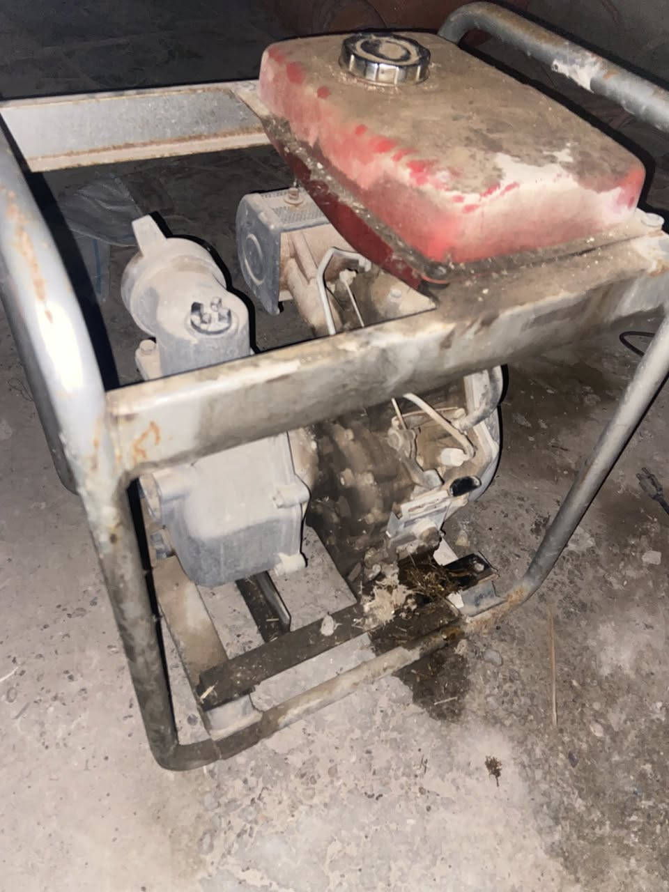 ‏سلام عليكم مولد جامع سبع حصان للبيع للبيع خنزيرة بثلاثة ثلاثة بثلاثة عنوان ديالى بعقوبة رقم الهاتف ***********￼
