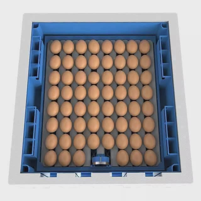 🦆 🐥  🦃 🦚   🦢 🦜
 نسبه فقسها 98 / 100
أنت تم الأشاره إليك من قبل النجمه الذهبيه للمفاقس عن تصفية مخازنها بعرض خاص للتنزيلات في اسعارها لايتكرر  حيث يتوفر لديها اعداد قليله من المفاقس الفول توماتيك تقليب الكتروني توقيتي ملحق بالمفقس قناني ماء لتزويد المفقس ذاتياً بالماء من دون تدخل بشري للحفاض على درجة رطوبة المفقس والتي تعمل باللمس وتشتغل على الكهرباء وبطاريه 12فولت مباشر من دون عاكسه مزودة بتقنية عالية الجودة وبأسعار مناسبه مزوده بسونار لفحص تخصيب البيض وكذلك جهاز انذار للتنبيه عند حدوث اي خلل وبشاشه ديجتل لقراءة درجة حرارة ورطوبة المفقس وباحجام وسعات مختلفه تبداء من
 12و 16 و 36 و 48 بيضه ...
مفاقسنا تصلح لفقس جميع انواع بيوض الدواجن
🦆 🐥 🐓 🦃 🦚 🦢 🦜
 نسبه   فقسها    تتخطى   98  بل 10
ولدينا خدمة توصيل لجميع محافظات العراق 
للحجز والاستفسار على الهاتف والواتساب ***********
سارع بالحجز قبل نفاذ الكميه المتبقيه ...
