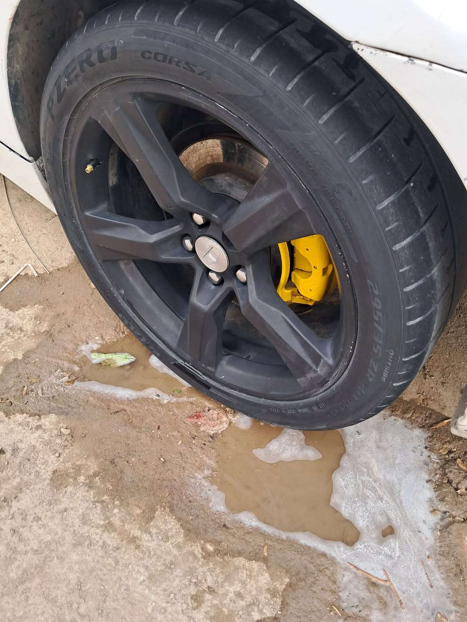 سلام عليكم وياله البيع و مراوس تفاصيل خاص ***********
