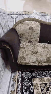 تخم سبع مقاعد بي اضرار بسيطه اريده ب50 مكاني بغداد


**إذا كنت صاحب هذا الإعلان وتريد حذفه لأي سبب، رجاءا أرسل رسالة إلى الدعم الفني**