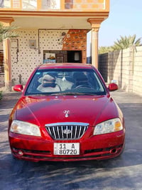 النترا • ٢٠٠٥ • صبغ عام