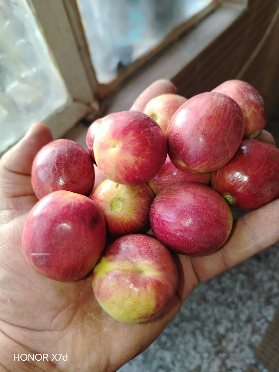 السلام عليكم ورحمة الله وبركاته الي حاب يطعم السدر اني بالخدمه اي استفسار بخصوص السدر اني خادم رقمي بي واتساب ***********0
