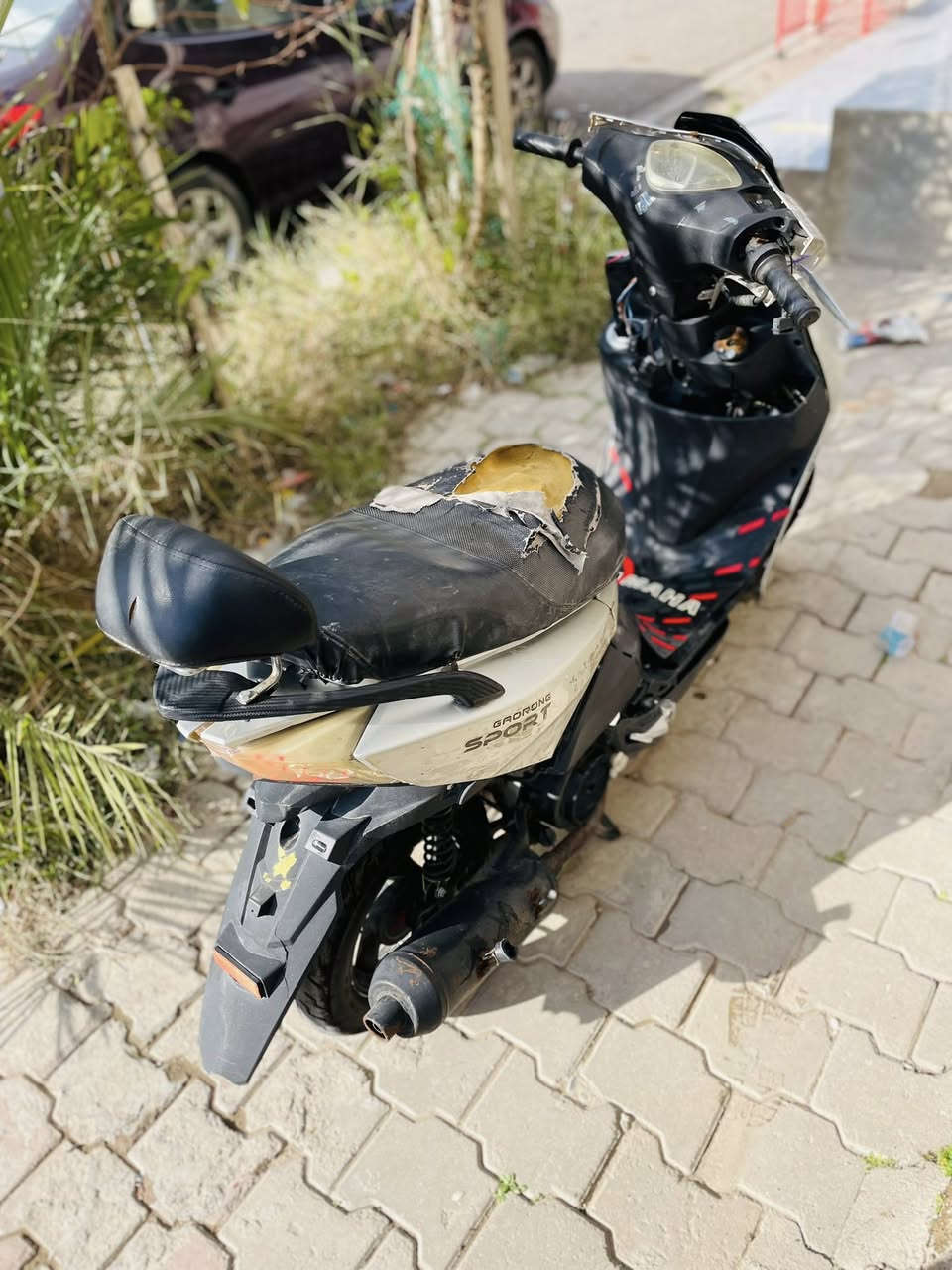 سلام عليكم ماطور ماكس اف إس كفراته تعبانه تحتاج ترتيب بيه كسور محرك نضيف لا صرف لا بخار هندر شغال كهربيات شغاله نشاط فول شلعه معدل فول للبيع سعره٢٠٠ الف وبيه مجال قليل للطيبين او للمراوس شعندك نزل مكان كركوك


**إذا كنت صاحب هذا الإعلان وتريد حذفه لأي سبب، رجاءا أرسل رسالة إلى الدعم الفني**