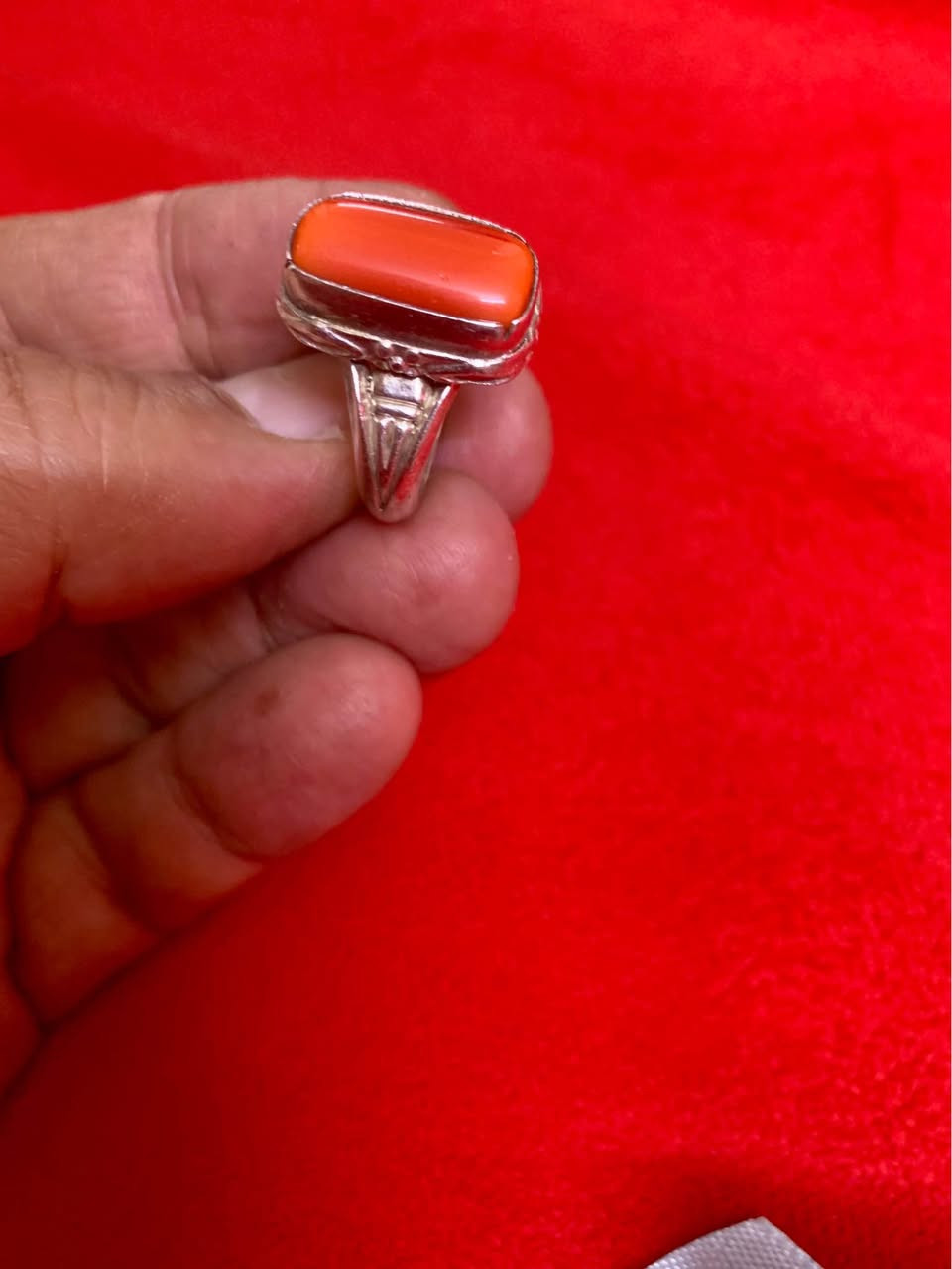 خاتم مرجان روعة صياغة يدوية بغداد, العراق


**إذا كنت صاحب هذا الإعلان وتريد حذفه لأي سبب، رجاءا أرسل رسالة إلى الدعم الفني**