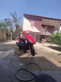 ماكس بوليس • مراوس • بوشه ٥٥