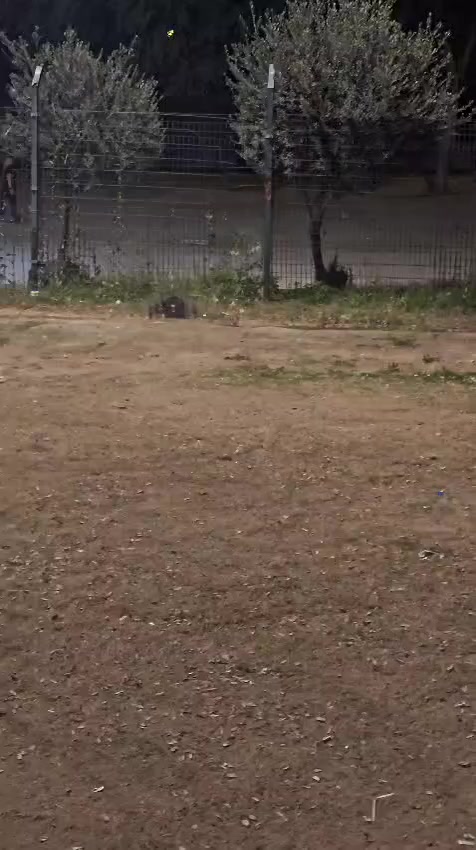 فعاليات 😂

  فئة 1/8  سرعه وقفزات

بس 1/5 حبت تشارك وراد يوكع السياج باحد المحاولات 
حرفيآ راد يوكع ونبتلي 😑


**إذا كنت صاحب هذا الإعلان وتريد حذفه لأي سبب، رجاءا أرسل رسالة إلى الدعم الفني**