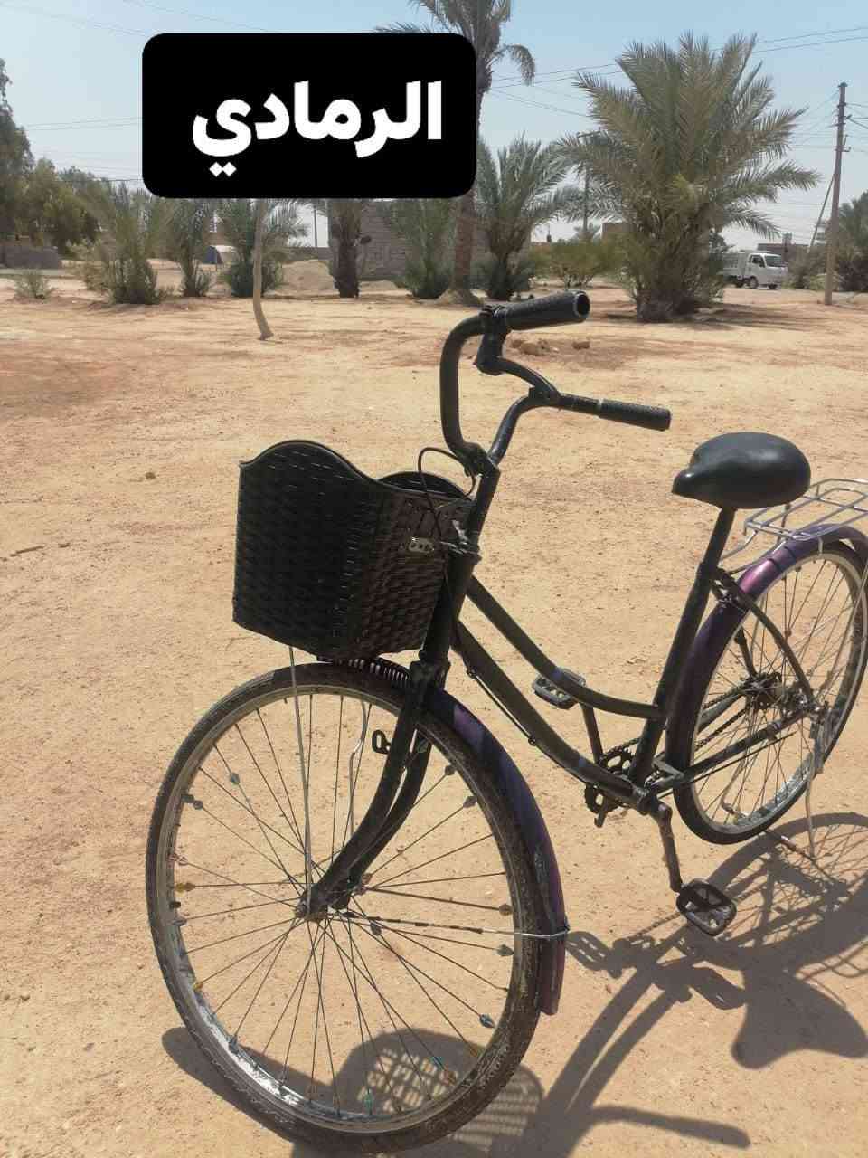 باسكل للبيع باسكل حيل حلو سعر 60 الف وبي مجال والستفسار عل رقم ***********
