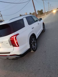 بلاسيد • ٢٠٢٣ • بدون صبغ