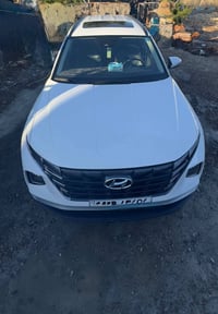 توسان • ٢٠٢٣ • وارد امريكي