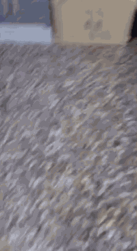 لسلام عليكم عندي مغاسل وجزامات تصفيه مخازن قطع جديده في بابل ليريد يراسلني تواصل على رقم ***********
