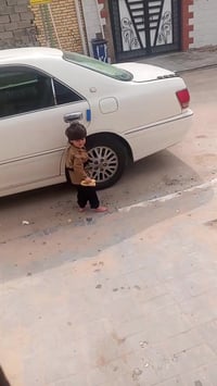 أبيض صدفي • فول مواصفات • رقم بصرة