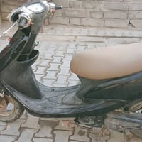 عصفورية • نضيفه • ما بيه نقص
