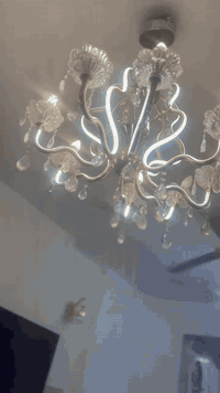 ثريا للبيع بيها لدات منها وبيها وبيها 9 مصابيح الاصليات كلش حلوة ونظيفة واي تقص مابيها اخذتها ب175 واريدها ب75 / مكان حي الجهاد ***********
