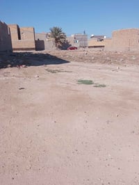 محيزم ٢ • ٢٠٠م • طابو ملك