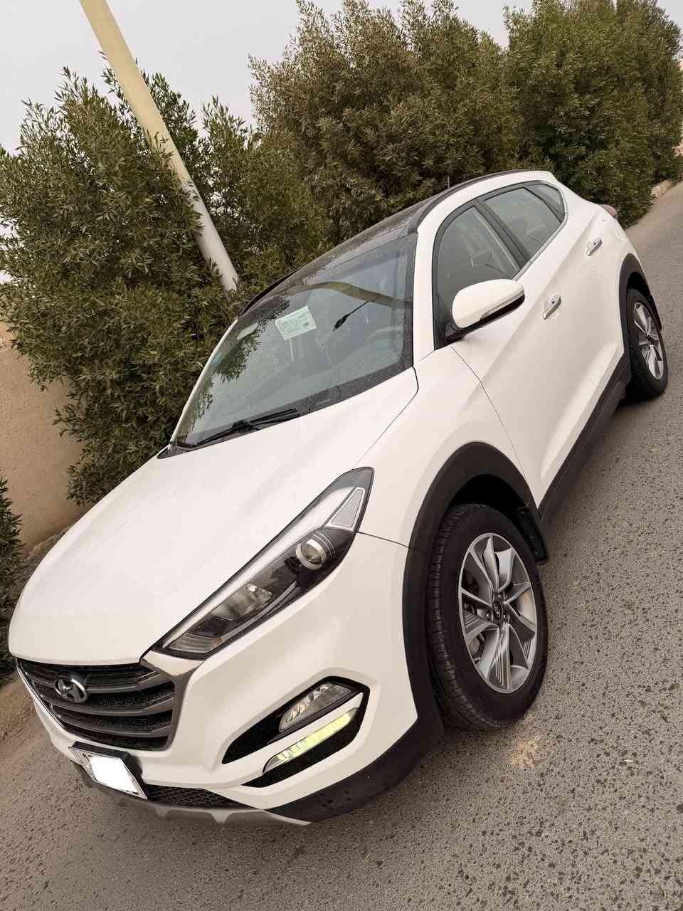 سلام عليكم توسان 2018 خليجي لكاصد فول مواصفات بنرامه ويل كروم قطعتين تبريد كشانه جلد داخل مشمشي عداد ليزري داخل مصوج مري شفط لايت لد أناره عدسات حساسات امامي خلفي شاشه كأمره خلفيه يدات كروم تحكم ستيرن اشاير بل مري خمسه ويل كب كروم فول مواصفات عده لبصمه سياره بيه لبنيد صبغ فقط لباقي كفاله لا صبغ ولا تبديل ولا بارد بشرك كير محرك على وضع شركه برغي مامفتوح بيهن صدر حداديه تخمً تاير كله جديد هزه سنويه ارقام كله جديد سياره عدت شركه كتلوكاته سويجات ثنين كلهن بيه ماشيهً83 حقيقي سياره استلام شركه عله ايدنه استخدام شخصيً سياره بسمي للعنوان لانبار رمادي سعر 175 وبيه مجال رقم لهاتف ***********
