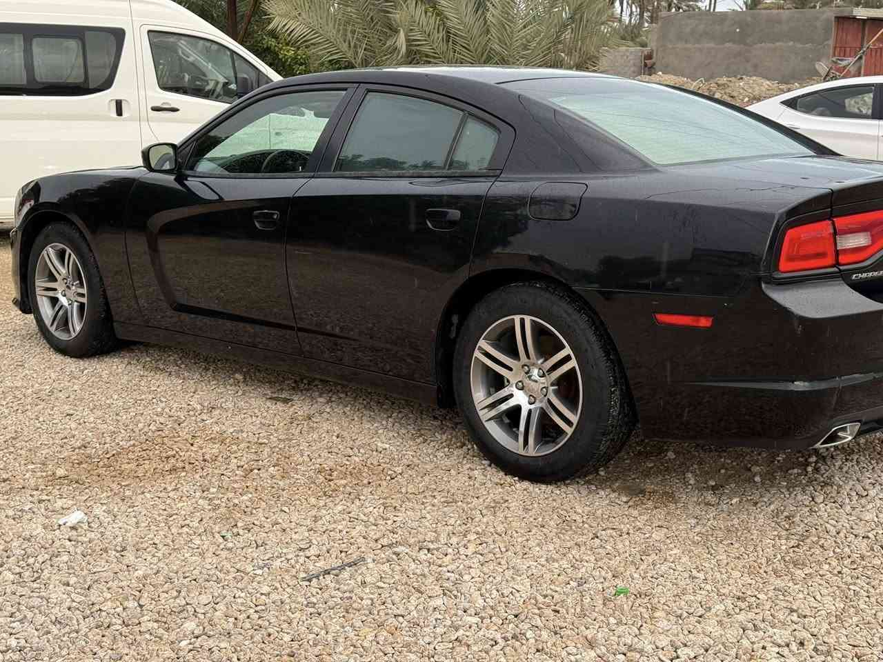 سلام عليكم
تشارجر موديل 14 للبيع بدون ايرباك سياره استخدام شخصي وجاهزه من كلشي وحادثها فقط دعامية وبنيد نفسه مصبوغ موجود بالصوره 
السعر 170 وبي مجال ***********
