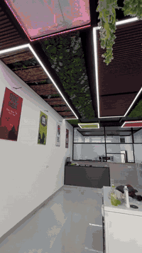 الحمد لله 😊
ديكور مطعم وان جكن الثعالبه 
ملاحضه / السقف سندويج 

عمل كافه الديكورات الداخليه 
 واتساب ***********

العنوان بغداد
