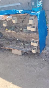 متاح • ديكور منزلي