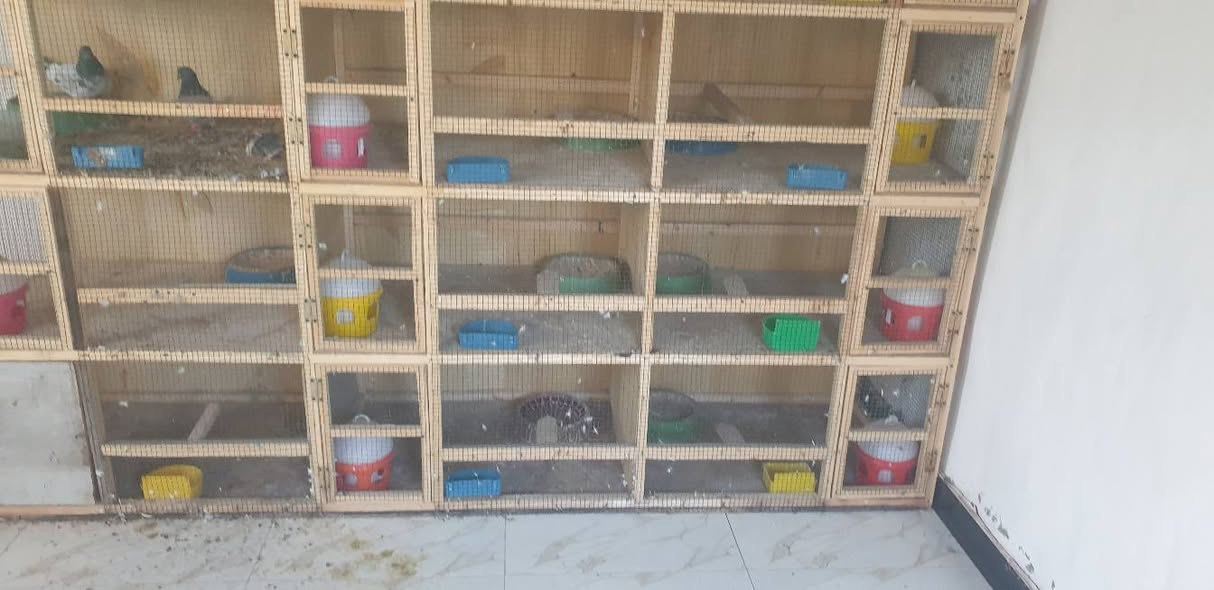 السلام عليك متاح ١٢خانه طبك شغل درجه ولا هنه وملحقاتهن وياهن ١٢معلف ١٢قطاره ١٢ حضانه مكاني لزبير***********
