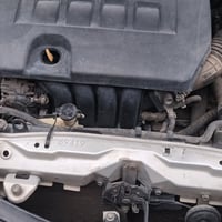 كورلا سلفر • ٢٠١٦ • كركوك