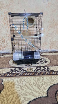 قفص بلابل • كامل • ملحقات