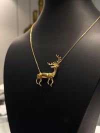 بفضل الله  وصلت الغزالة حصرآ يم صياغة أدم غيث   السعر من 800 الف واصاع...