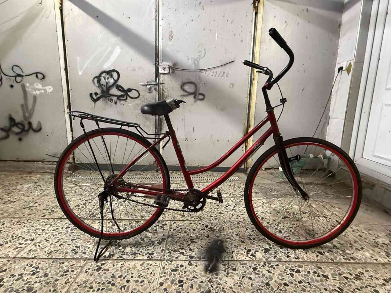 السلام عليكم بيسكل للبيع بناتي حجم26بيسكل  لون احمر🍎نضيف مثال ما موضح بل صوره مابي اي نقص  عوزه بس كشن  بيسكل نضيف وجديد السعر 55وبي مجال بكاني بغداد الحسينيه مال راشديه


**إذا كنت صاحب هذا الإعلان وتريد حذفه لأي سبب، رجاءا أرسل رسالة إلى الدعم الفني**