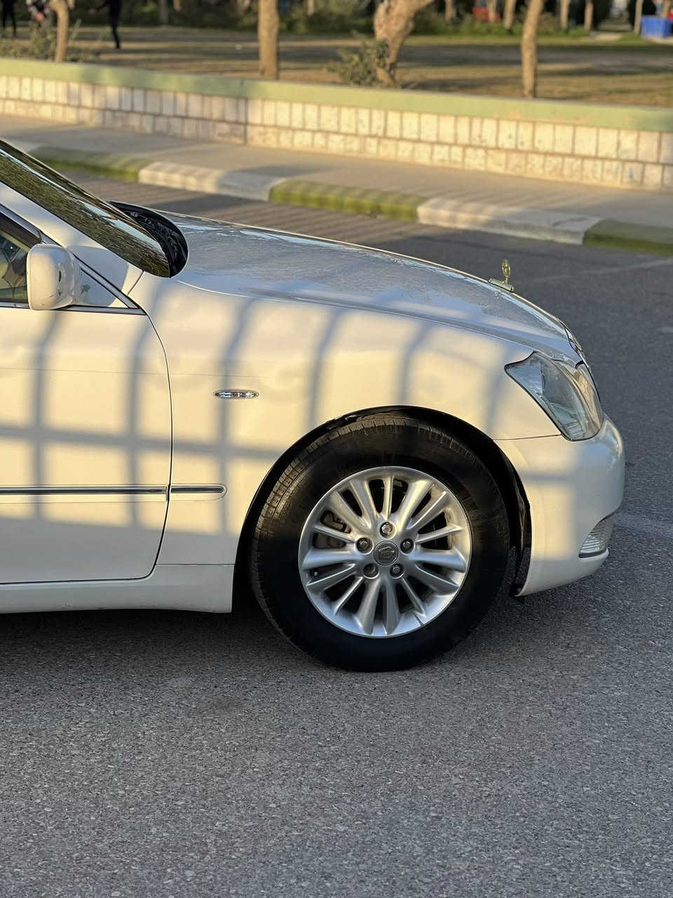 شاهینە موس 
2005
٢ دگمە ی ١٨٠. چاڵ و شوختی نیە
بە شەرتی بۆنیت سنوق سەقف ئەیفرۆشم
نازانم جگە لەوانە چی تری پیوەیە سفر سفرە
٤ تایو ویل تازە
***********
نرخی ٦٥ مامەڵە
