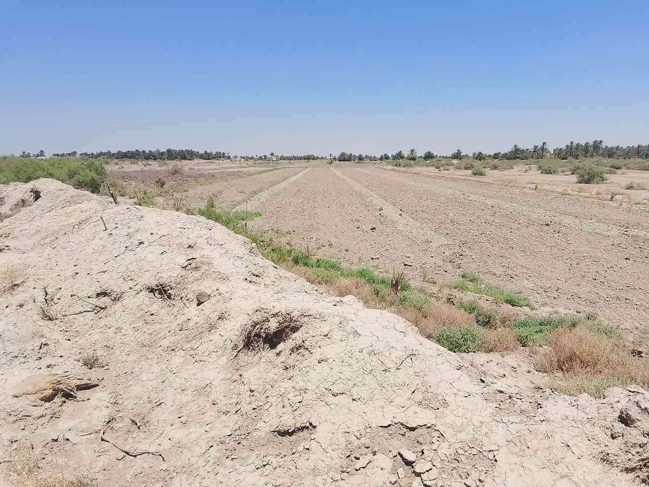 للبيع الكاع 3 دونم ونص واقع حال الصحيح 2 دونم النزال 175 العرض 45  عنوان طريق الدغاره نزلت نبي شعيب 
***********
