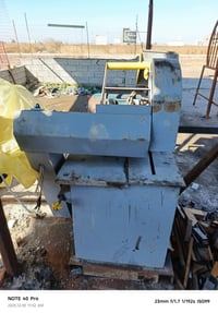 للبيع 10 حصان بغداد التاجي سعر 700//07877552633